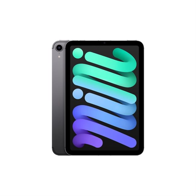 Apple iPad mini 21,1cm 8,3Zoll Wi-Fi+Cellular 256GB spacegrau 6.Ge 3G,4G,5G