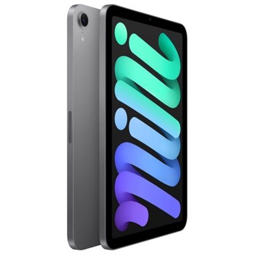 Apple iPad mini A17 Pro MXN63NF/A 8,3Zoll 128GB Space-grau