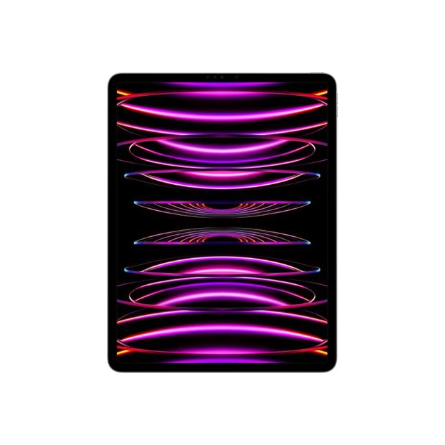 Apple iPad Pro 32,8cm 12,9Zoll Wi-Fi+Cellular 2TB Spacegrau 6.Gen 3G,4G,5G