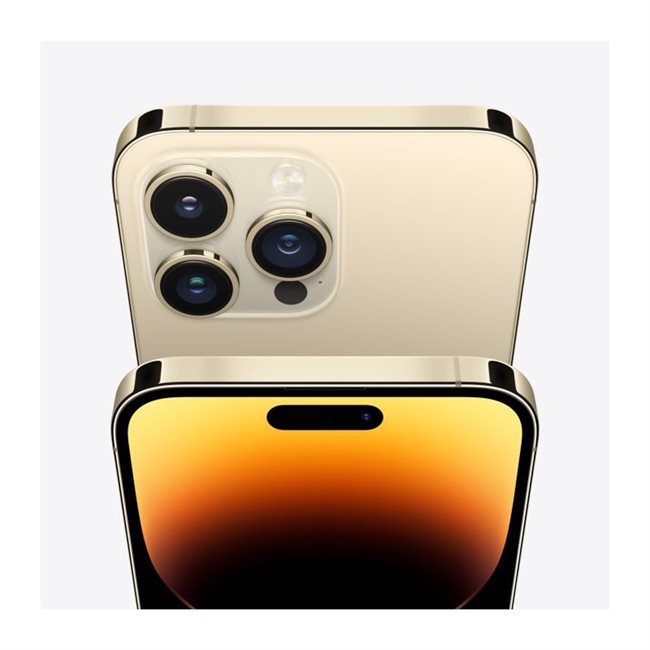 Apple iPhone 14 Pro Max 256GB Gold 17cm 6,7Zoll 5G Dual-SIM
