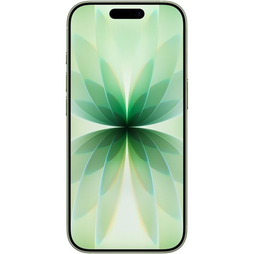 Apple iPhone 17 MG6V4ZD/A 512GB Salbeifarbe 16cm 6,3Zoll 5G