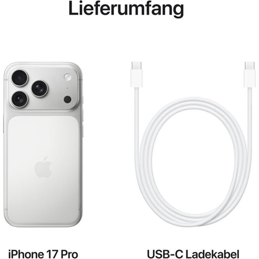 Apple iPhone 17 Pro MG8G4ZD/A 256GB Silber 16cm 6,3Zoll 5G