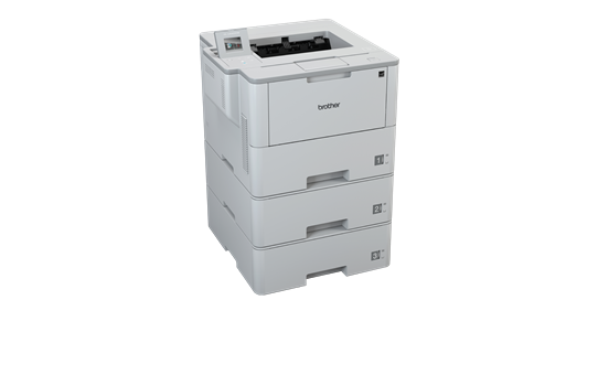 Brother HL-L6400DWTT Bundle Filter+Halterung