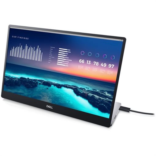 Dell DELL-P1424H 35,56cm 14Zoll 1920x1080Pixel Full HD