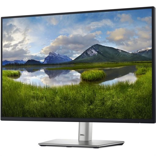 Dell P2425E 61cm 24Zoll 1920x1200Pixel WUXGA