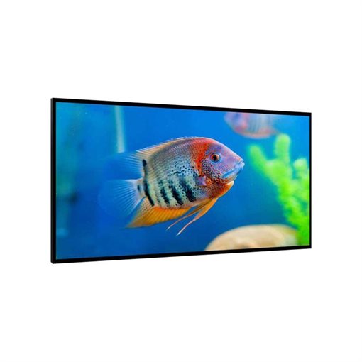 DynaScan DI551ST2 - 138,8 cm (54,64 Zoll) LCD-Display 1080p (Full