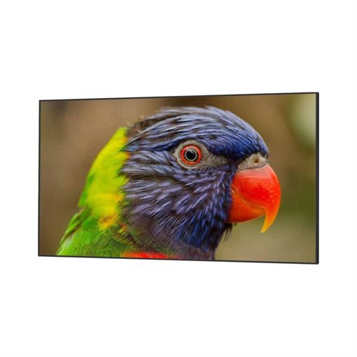 DynaScan DS752LR4 - 190,5 cm (75 Zoll) Diagonalklasse LCD-Display - DynaScan DS752LR4 - 190,5 cm (75 Zoll) Diagonalklasse LCD-Display -