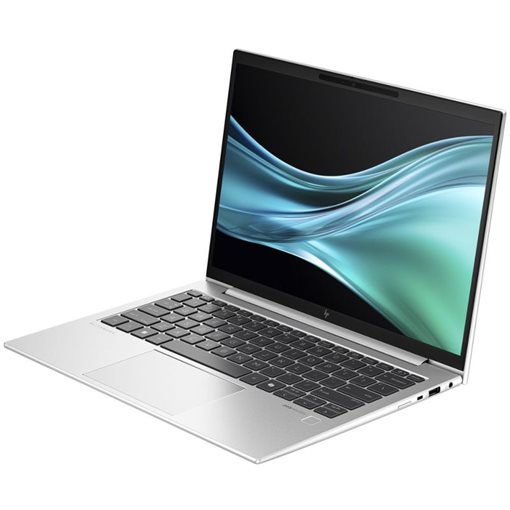 HP EliteBook 835 G11 Ryzen 7 8840U 33,8cm 13,3Zoll WUXGA 1TB 32GB RAM