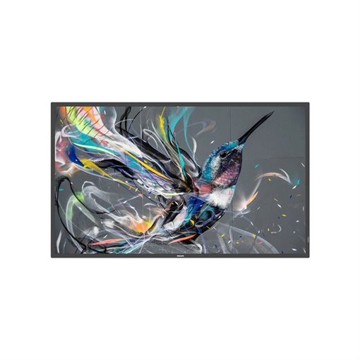 Philips 55BDL3510Q 138,7 cm (54,6 Zoll) LCD-Display 4K UHD (2160p) Philips 55BDL3510Q 138,7 cm (54,6 Zoll) LCD-Display 4K UHD (2160p)