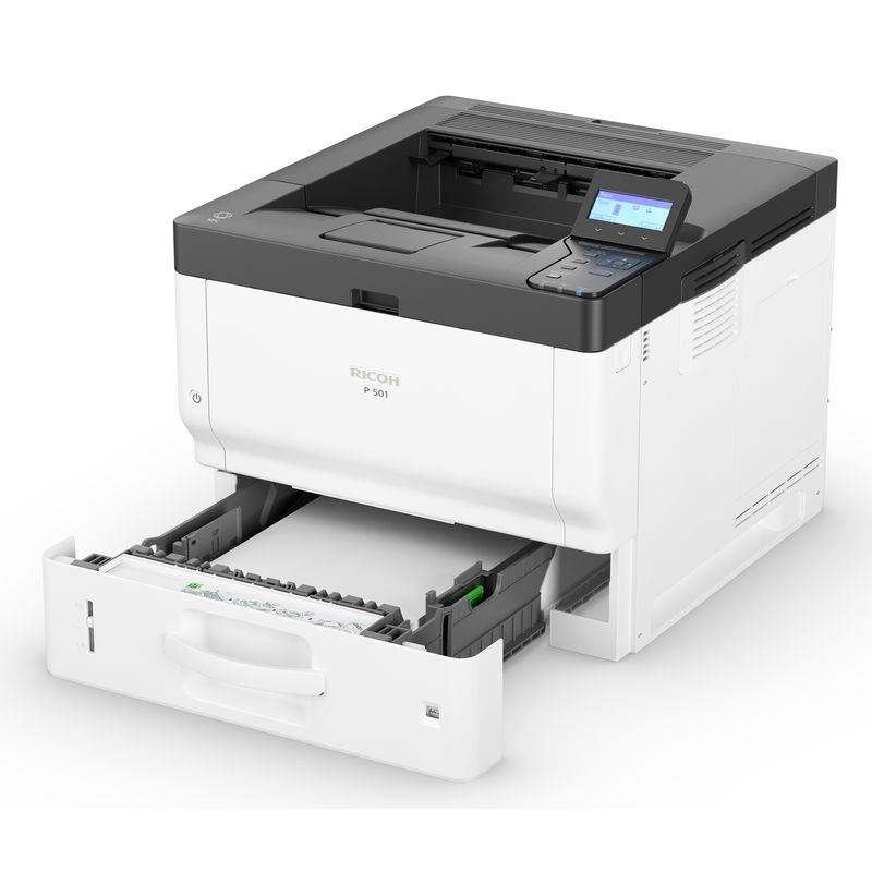 Ricoh P 501