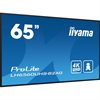 iiyama ProLite LH6560UHS-B2AG 165cm 65Zoll 4K