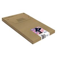 Epson Original Tinten-Multipack BK/C/M/Y 502 - C13T02V64510