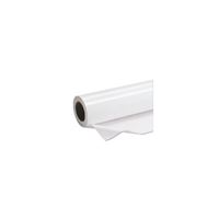Premium Semigloss Photo Paper Roll - C13S042137