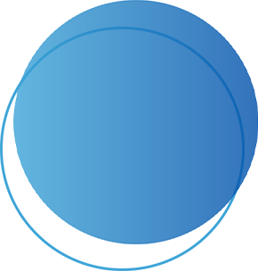 App Version - Overview