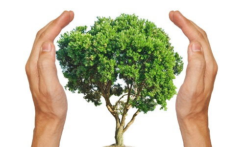 protección del medio ambiente