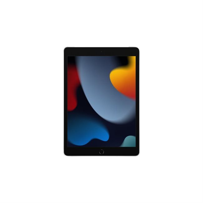 Apple iPad 10,2Zoll 25,9cm Wi-Fi+Cellular 64GB silber 9.Gen 3G,4G