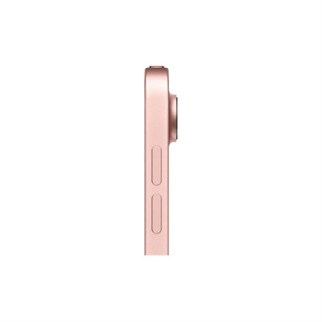 Apple iPad Air 27,7cm 10,9Zoll Wi-Fi + Cellular 256GB rosegold 4.Gen 3G,4G