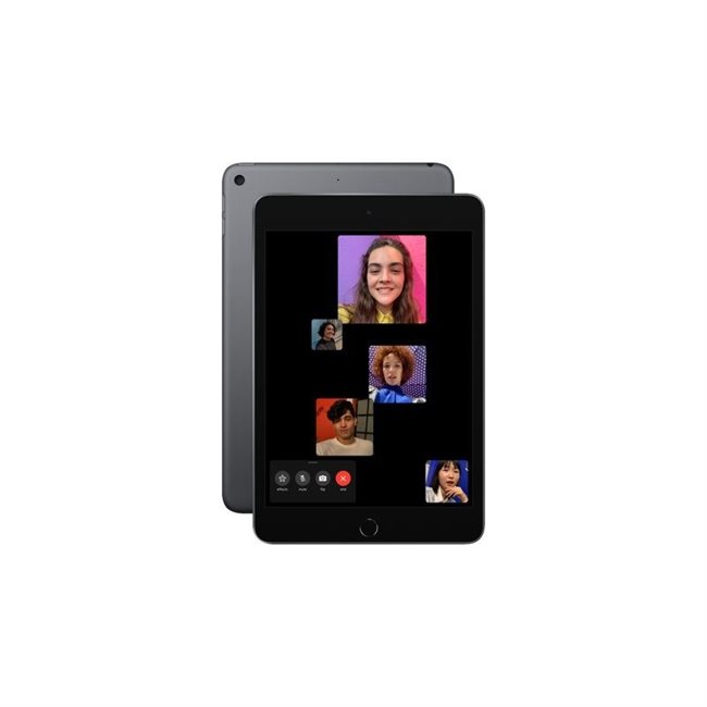 Apple iPad mini 7.9 - 256GB Wi-Fi Space