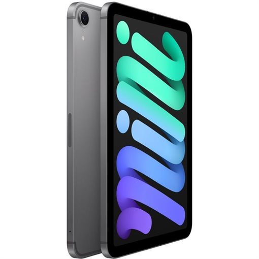 Apple iPad mini A17 Pro MYHC3NF/A 8,3Zoll 512GB Space-grau LTE