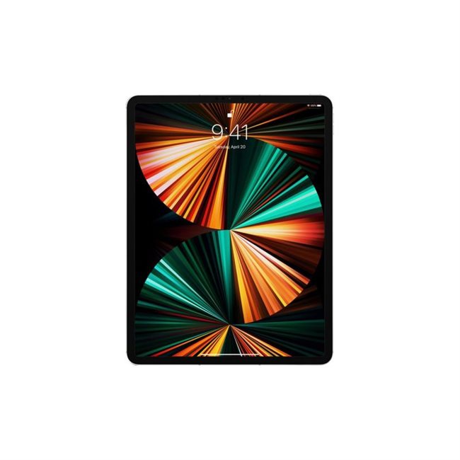 Apple iPad Pro 12,9Zoll 32,8cm Wi-Fi+Cellular 2TB silber 5.Gen 3G,4G,5G
