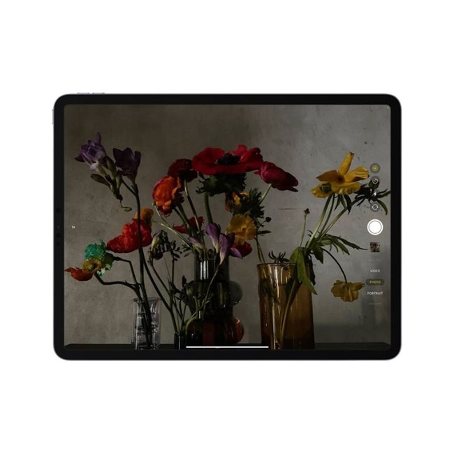 Apple iPad Pro 27,96cm 11,0Zoll 2TB WiFi Gray M1 Chip Liquid Retina