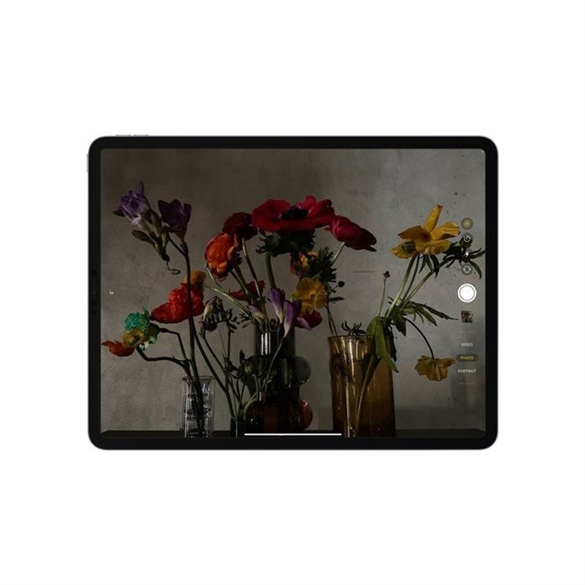 Apple iPad Pro 32,77cm 12,9Zoll 2TB WiFi Gray M1 Chip Liquid Retina