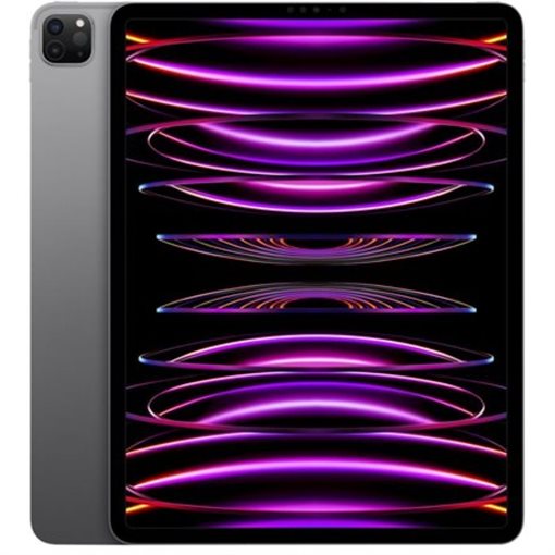 Apple iPad Pro 32,77cm 12,9Zoll WiFi 512GB M2 Grau 6.Gen