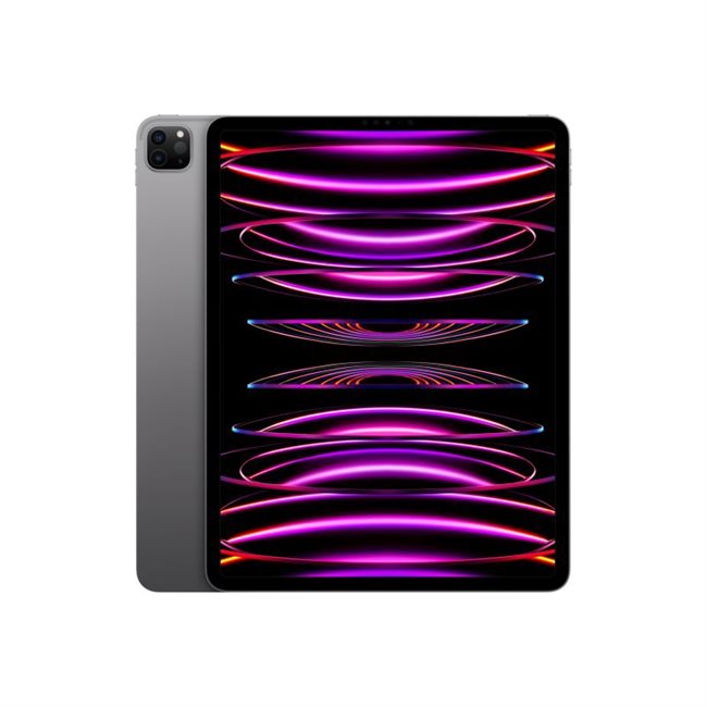 Apple iPad Pro 32,8cm 12,9Zoll Wi-Fi+Cellular 2TB Spacegrau 6.Gen 3G,4G,5G