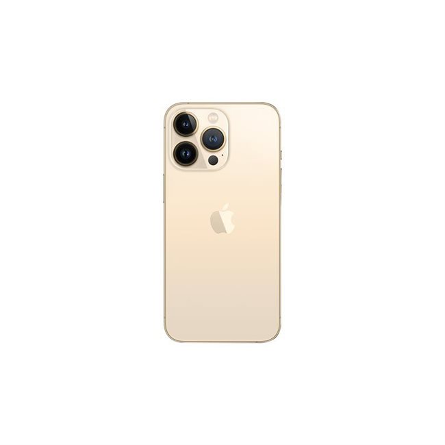 Apple iPhone 13 Pro 1TB Dual-SIM Gold 15,5 cm 6,1 Zoll 5G