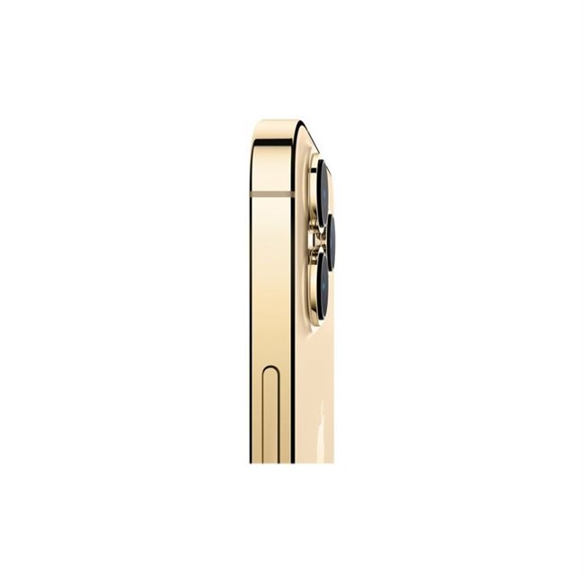 Apple iPhone 13 Pro 1TB Dual-SIM Gold 15,5 cm 6,1 Zoll 5G