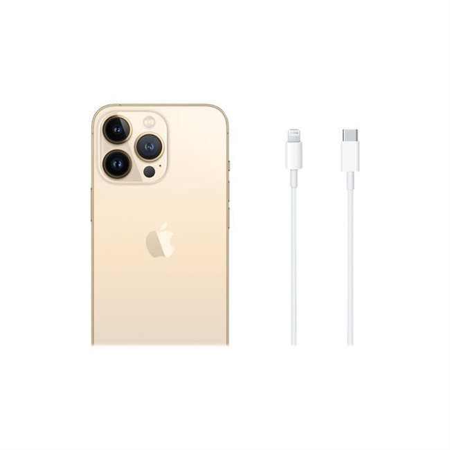Apple iPhone 13 Pro 256GB gold 15,5 cm 6,1 Zoll