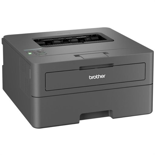Brother HL-L2445DW