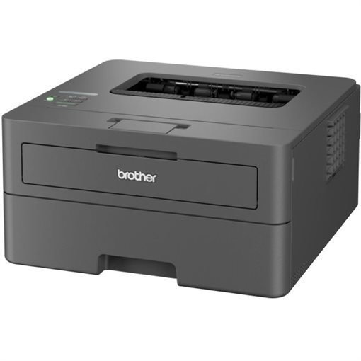 Brother HL-L2447DW