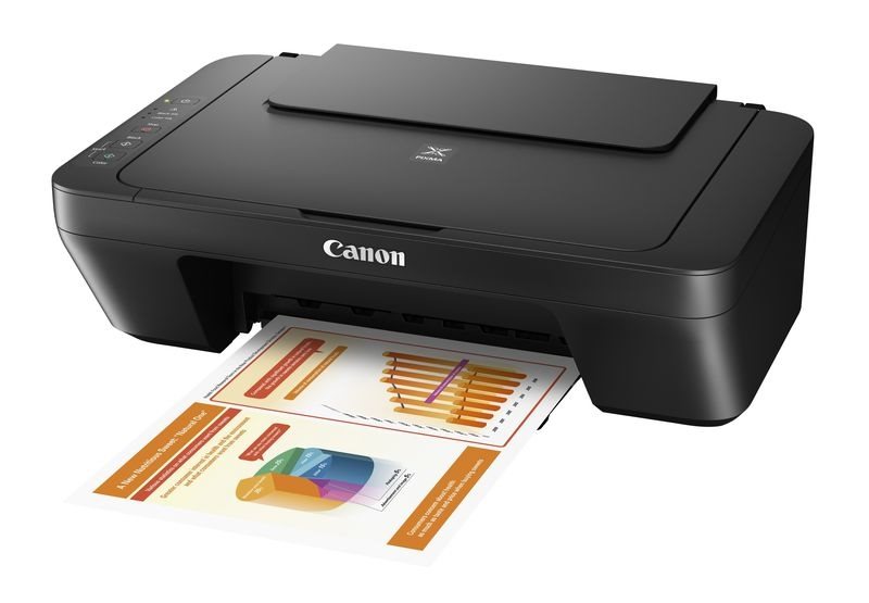 Canon PIXMA MG2555S