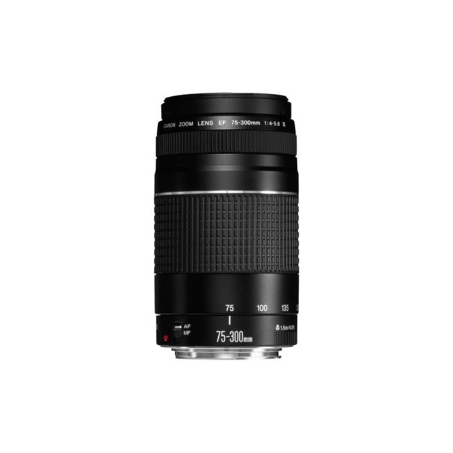 Canon Telezoomobjektiv 75 mm 300 mm f/4.0-5.6 III Canon EF