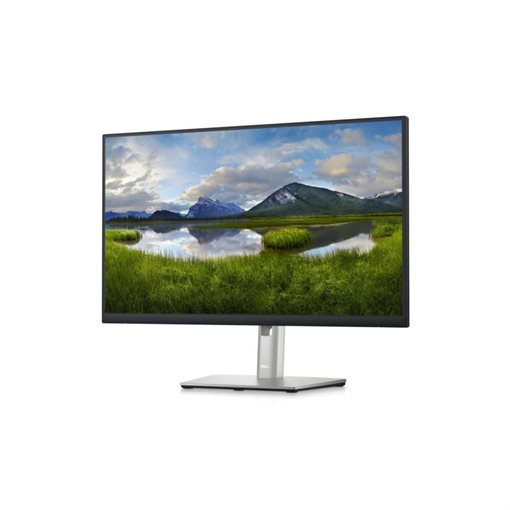 Dell P2423D LED 60,5cm 23,8Zoll 2560x1440 QHD @ 60Hz