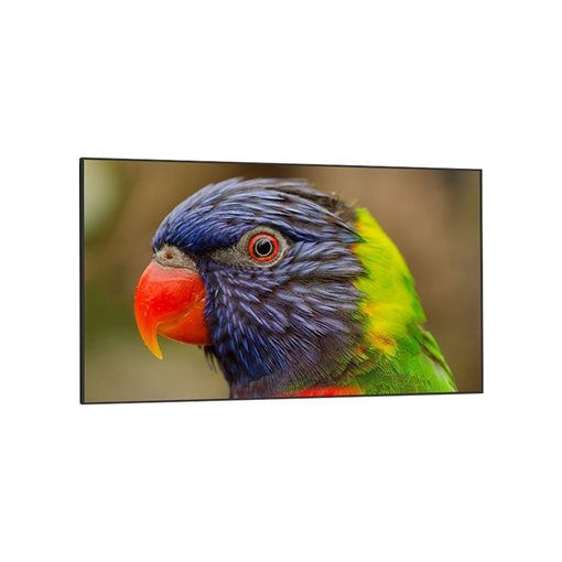 DynaScan DS752LR4 - 190,5 cm (75 Zoll) Diagonalklasse LCD-Display -