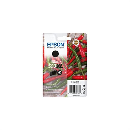 Epson original XL ink black - C13T09R14020