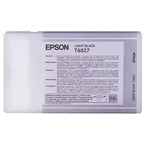 Epson Tintenpatrone light black, T562700