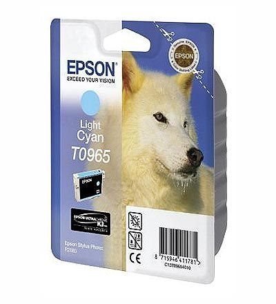 Epson Tintenpatrone light cyan für SP R2880 Epson Tintenpatrone light cyan für SP R2880