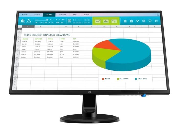 HP N246v LED-Monitor