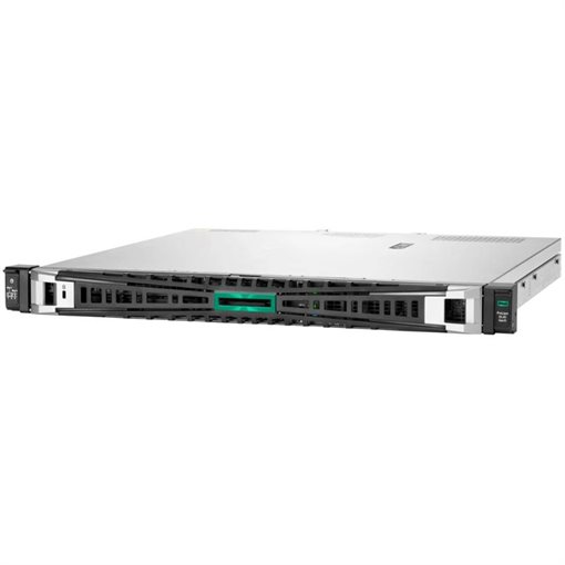 HPE ProLiant DL20 G11 Xeon E-2436 2x480 GB SSD 32 GB
