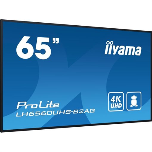 iiyama ProLite LH6560UHS-B2AG 165cm 65Zoll 4K
