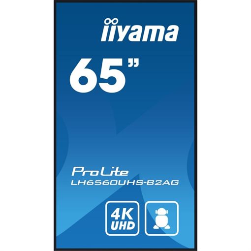 iiyama ProLite LH6560UHS-B2AG 165cm 65Zoll 4K