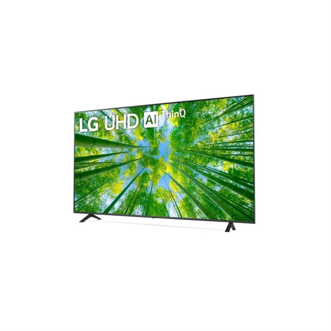 LG 75UQ80009LB.AEU 189 cm 75Zoll LED TV 4K UHD HDR Smart TV