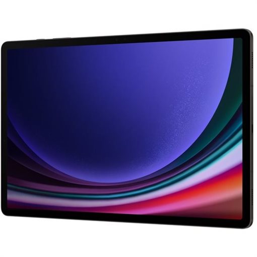 Samsung Galaxy Tab S9+ Snapdragon 31,5cm 12,4Zoll 12GB 512GB Graphite