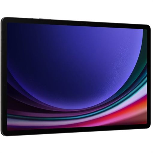 Samsung Galaxy Tab S9+ Snapdragon 31,5cm 12,4Zoll 12GB 512GB Graphite