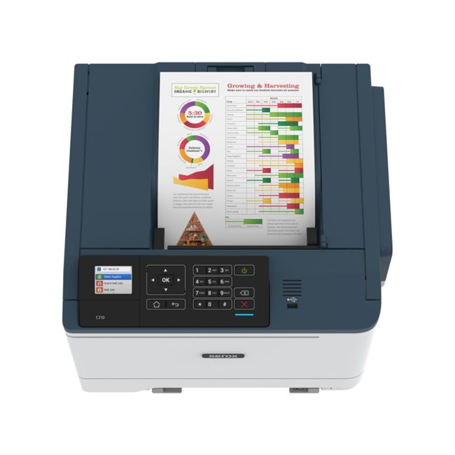 Xerox C310