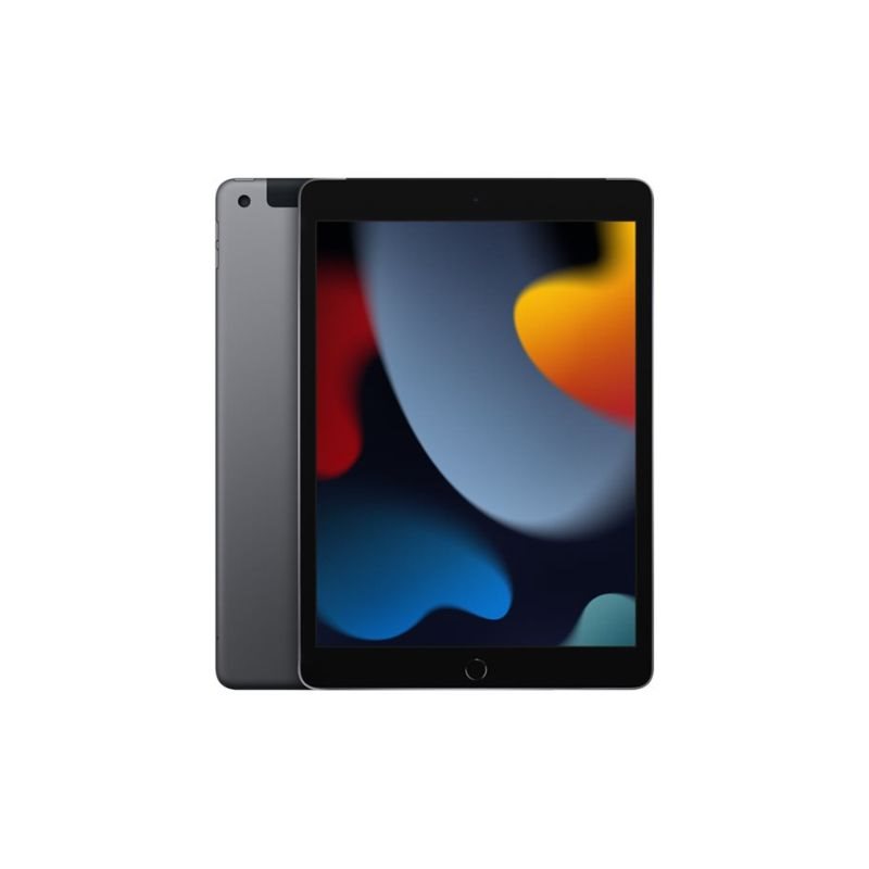 Apple iPad 25,9cm 10,2Zoll Wi-Fi + Cellular 256GB spacegrau 9.Gen 3G,4G