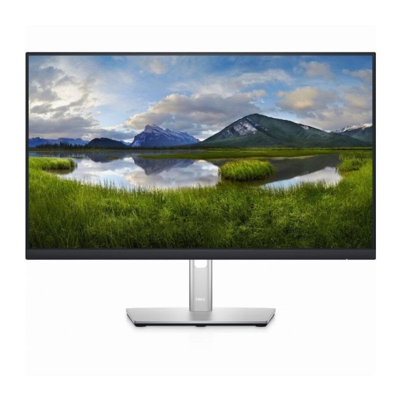 Dell P2422HE, 60,5 cm (23.8 Zoll), 1920 x 1080 Pixel, Full HD, LCD